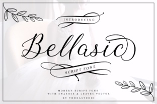 Bellasic: An Elegant Script Font for Modern Web Design