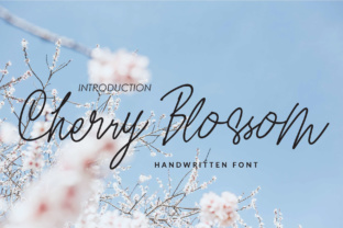 Cherry Blossom Font: A Designer’s Take
