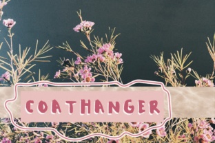 Coat Hanger: A Designer’s Review of Script Amp’s Latest