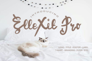 ElleXit Pro: A Versatile Script Font for Web Design