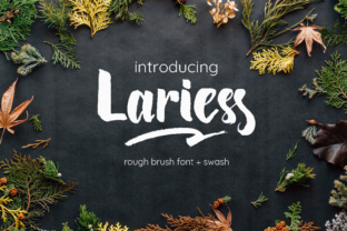 Lariess: The Script Font That Elevates Campaign Visuals