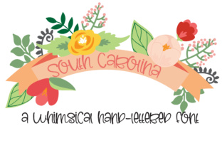 PN South Carolina: A Whimsical Typeface for Editorial Design
