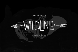 Wildwildling: A Casual Script Font for Modern Web Design
