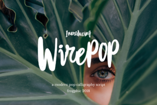 Wirepop: A Modern Script Font for Small Business Branding